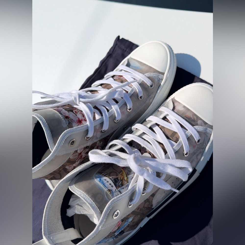 Dior B23 High
Canvas Sorayama Dinosaur Brown